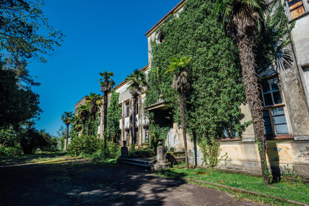 Old abandoned overgrown building of institute of tea industry in Georgia.の写真素材