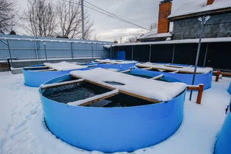 Winter aquaculture ponds with heating.の写真素材