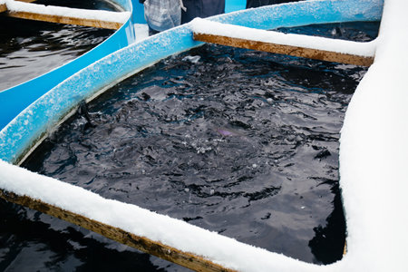 Winter aquaculture ponds with heating.の写真素材