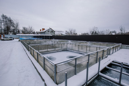 Winter aquaculture ponds for fish growing.の写真素材