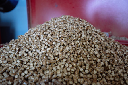Pile of bio fuel pellets, close up view, selective focus.