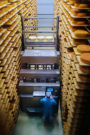 Loading machine working at cheese warehouseの写真素材