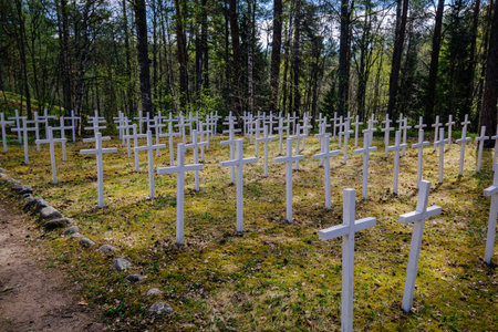 Old Finnish cemetery in Lumivaara.