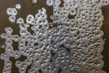 Marks of bullets on military vehicle body.の写真素材