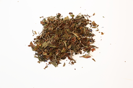 Leaves of white tee with bergamot. Sort called "White lady"の写真素材