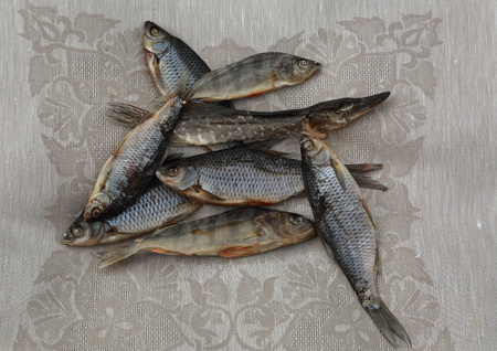 Dried fish isolated on a gray tableclothの写真素材