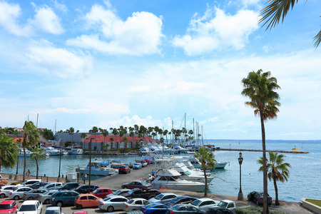 view of a coast with palm trees. Arubaの写真素材