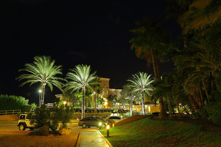 Wonderful night park with green palm trees and parked cars. Aruba island. Nice nature backgrounds.のeditorial素材