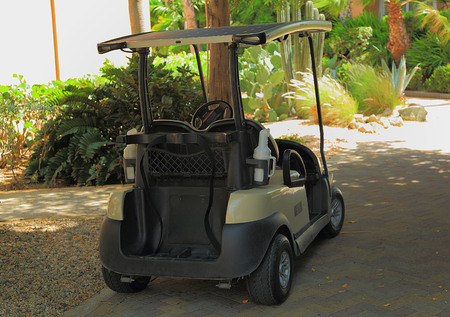 Golf cart parked in park. Aruba island. Nice background.の写真素材