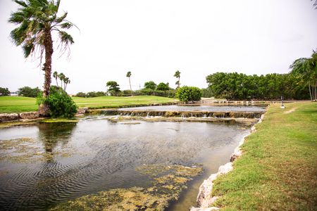 Wonderful nature landscape with a lot of green plants, trees and grass. Aruba Island. Nature background.の写真素材