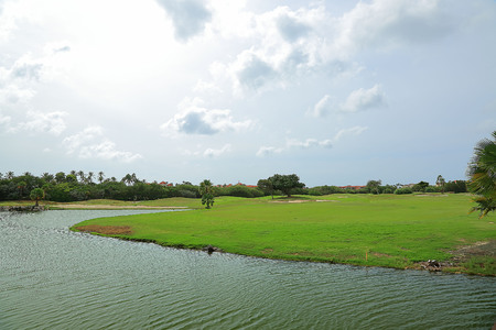 Beautiful nature landscape. Green grass, palm trees, plants and lake water. Bad weather is on the way. Windy. Aruba island. Nature landscape background.の写真素材