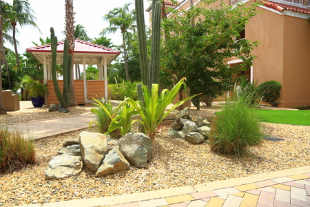 Piece of a garden with green palm trees and rose walls on a background on a summer day. Nice backgrounds.の写真素材