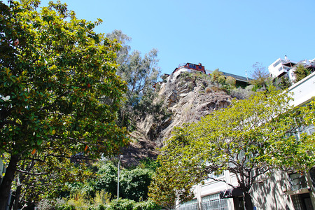 View on a beautiful building. Green trees and blue sky background. San Francisco. USA.の写真素材