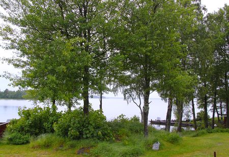 Amazing view of the lake. Beautiful nature background.の写真素材