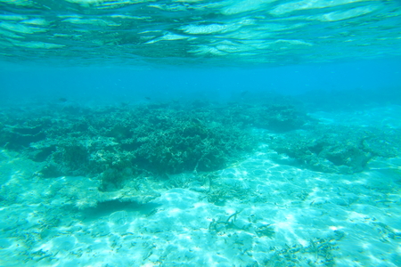 Beautiful view of dead coral reefs. Turquoise water and white sand background. Indian Ocean. Maldive islands.の写真素材