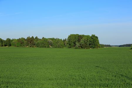 Beautiful colorful natural landscape, Green field and trees on a blue sky background. Uppsala, Sweden.の写真素材