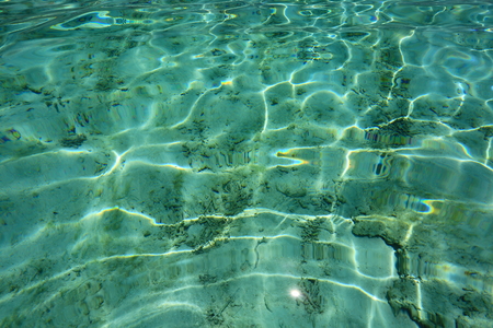 Gorgeous view of the underwater world, transparent water surface, Indian Ocean, Maldives.の写真素材