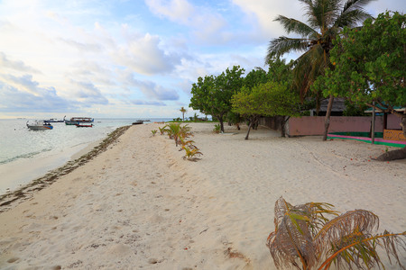Beautiful tropical landscape. White sand beach and green plants on blue sky with white clouds background. Maldives, Indian Ocean.の写真素材