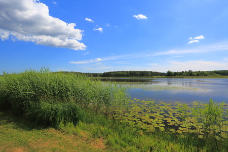 Gorgeous nature landscape on a summer day. Green paints, mirror water surface and blue sky with snow white clouds. Amazing nature landscape background.の写真素材