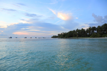 Gorgeous view of Indian Ocean, Maldives. White sand coast line with green trees, turquoise ocean...