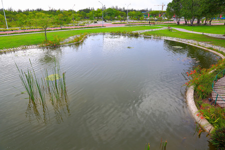 Beautiful view of a pond in a park with green plants and flowers. Maldives, Hulhumale.の写真素材