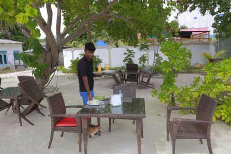Outdoor restaurant on Dhangethi Island, Maldives. Young waiter serving food. Food and drink concept.の写真素材