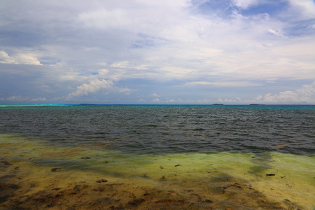 Beautiful contrast of tropical landscape. Coastline with dark water, sea grass and clear turquoise water far away. Maldives, Indian Ocean.の写真素材