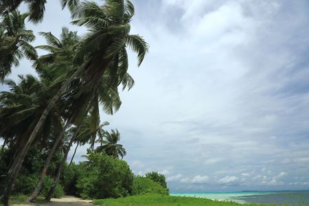 Gorgeous view of natural tropical landscape. Maldives, Indian Ocean. Beautiful green palm trees, blue turquoise water surface and amazing sky with white clouds.の写真素材