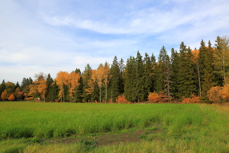 Beautiful country landscape in a autumn day. Green orange trees and still green grass field. Beautiful colorful nature backgrounds.の写真素材