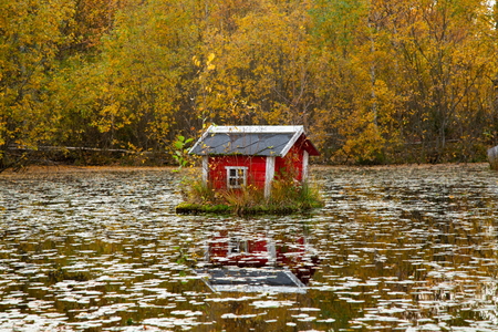 Gorgeous autumn landscape with bird trees on water. Beautiful nature backgrounds.の写真素材
