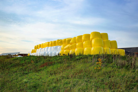 Plastic rolls are formed in the form of grass. Colorful nature backgrounds.