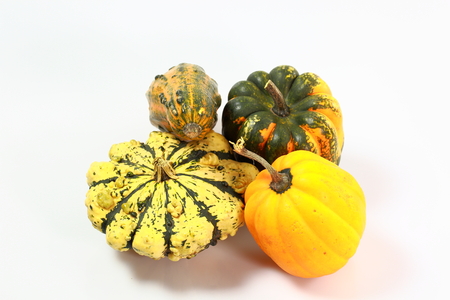 Close up view of group of colorful decorative pumpkins isolated on white background. Halloween holiday background / concept.の写真素材