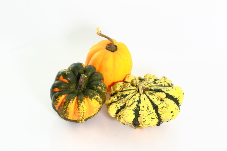 Close up view of group of colorful decorative pumpkins isolated on white background. Halloween holiday background / concept.の写真素材