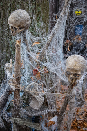 Beautiful traditional decorative elements for Halloween celebration. Beautiful Halloween backgrounds.の写真素材