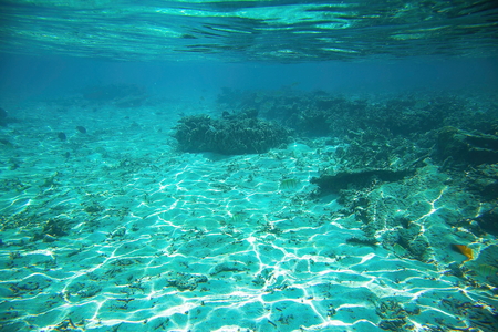 White sand bottom and blue water. Snorkeling, Maldives, Indian Ocean.の写真素材