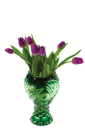 Gorgeous purple tulips bouquet close up view. Tulips bouquet backgrounds.