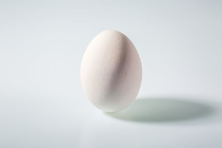 Close up view of white chicken egg isolated. Food backgrounds. Healthy eating concept.の写真素材