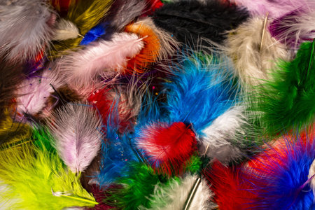 Close up view of feathers of different colors. Beautiful colorful backgrounds.