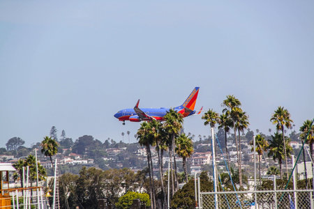 Beautiful landing of huge airplane landing moment. Blue sky and green palm trees. San Diego. USA....