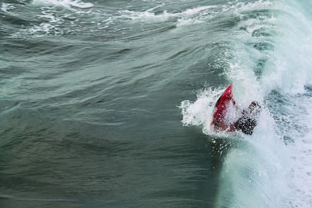 Surfing. Riding waves. An anonymous surfer catches a wave. Los Angeles.の写真素材
