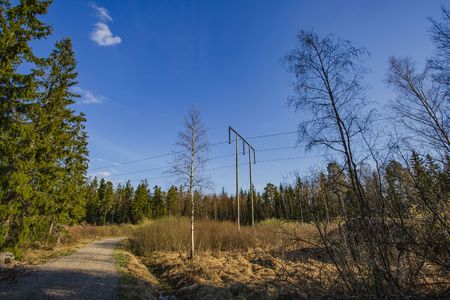 Beautiful nature landscape. Green forest trees on blue sky background. High voltage transmission line. Spring time. Sweden. Europe.の写真素材