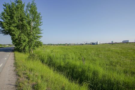 Beautiful green forest fields and blue sky fields. Gorgeous backgrounds.の写真素材