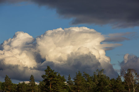 Gorgeous view of beautiful thunderclouds in blue sky above green tree tops. Beautiful nature...