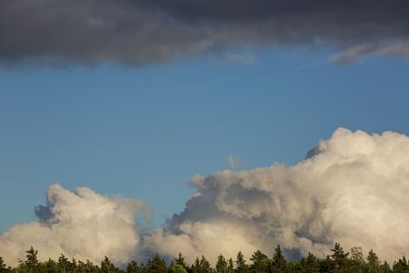 Gorgeous view of beautiful thunderclouds in blue sky above green tree tops. Beautiful nature backgrounds.の写真素材