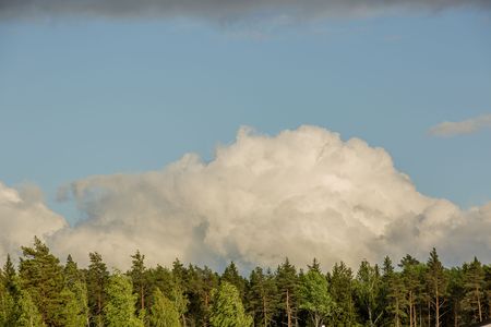 Gorgeous view of beautiful thunderclouds in blue sky above green tree tops. Beautiful nature backgrounds.の写真素材