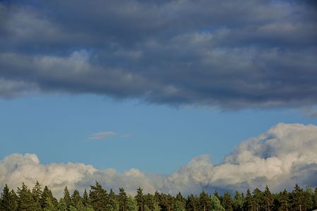 Gorgeous view of beautiful thunderclouds in blue sky above green tree tops. Beautiful nature backgrounds.の写真素材
