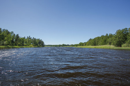 Beautiful summer day. Dark lake water surface, green trees and blue sky. Sweden, Europe.