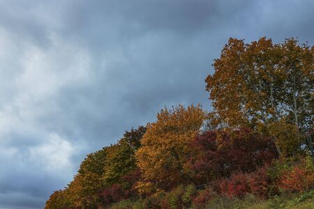 Gorgeous autumn colorful nature landscape view. Beautiful colorful nature backgrounds.の写真素材