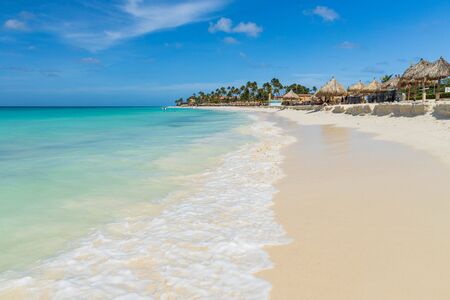 White sand beach and turquoise water ocean on green palm trees and blue sky background. Aruba. Amazing backgrounds.の写真素材