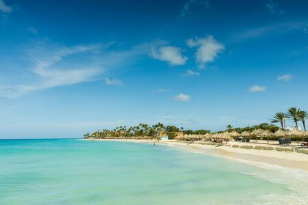 White sand beach and turquoise water ocean on green palm trees and blue sky background. Aruba. Amazing backgrounds.の写真素材